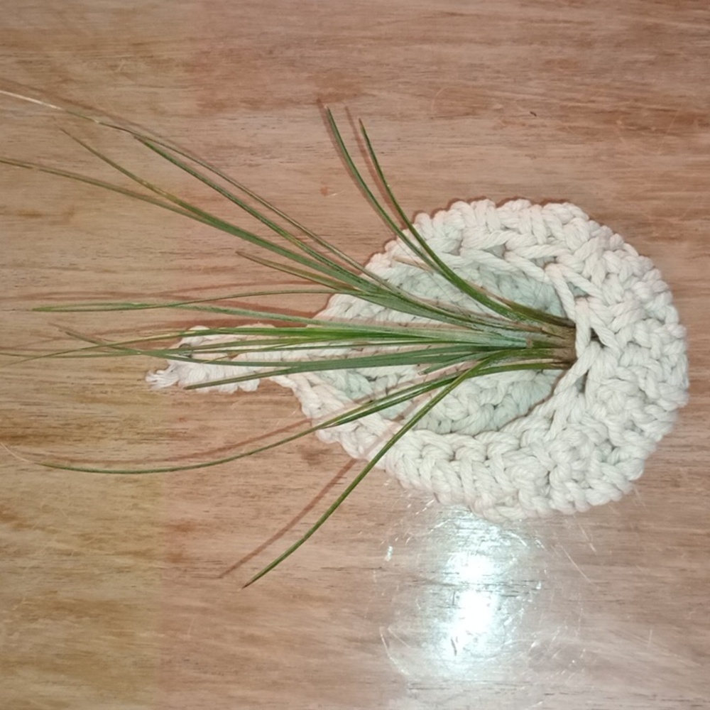 Air Plant/Mini Plant Hanger Basket, Cream, Crocheted, Boho Style, Pre-owned - Picture 4 of 6